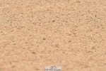230720A-105714-02282