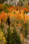 Photo of the Week 10/3/2011