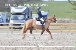 BPP_9982