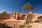 Bryce Queens Garden Trail 12 x 18