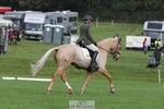 612-CORRIEVIEW.MERLIN.MAGIC-Jane.Rogers-DR portfolio