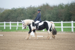 SBM_003366