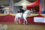 SBM_15895