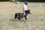 WJ6_6830