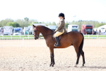 SBM_09158