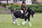 SIAL8485