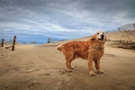 Breezy Day