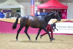 SBM_20785