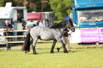 SBM_00678