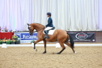 SBM_003566