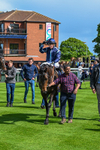 120526-Race 3-Merlier-7862