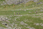 Duddon Long-5