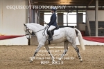 BPP_8813