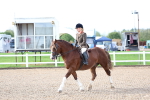SBM_00342