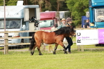 SBM_00428