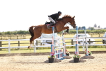 SBM_004595