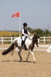 SBM_004163