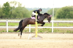 SBM_009418