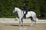 261-COOLEY_NOW_OR_NEVER-Georgina_Herrling-WEDTrotUp+DR portfolio
