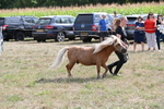 WJ6_6946