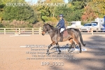 BPP_7933