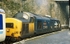 19th Jan 1989