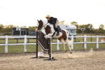 SBM_003988
