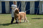 North Show_2014-5