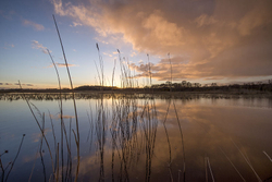 #91  Ballinafagh Lake Sunset