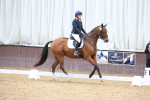SBM_004095