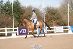 129-Looby.Marsden-J.Force portfolio