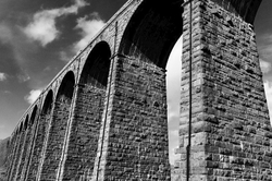 Monochrome portfolio