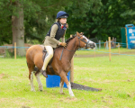 Dunblane show-8