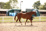 SBM_08157