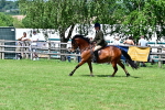 SBM_08017