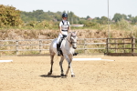 SBM_003524