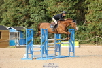Cls 11 Snr Foxhunter portfolio