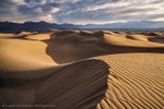 Rippled Sand and Light
