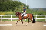 SBM_008035
