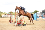 SBM_007938