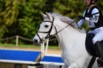 231119-144124-03598
