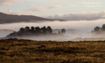 Autumn Mist on Rannoch Moor