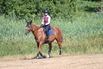 WJ7_7909