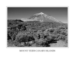 Tenerife Teidi and vegetation