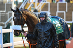 141125-Race 6-Bruant-1209