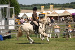 SBM_06918
