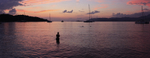 Sunset Swim