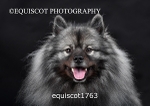 equiscot1763