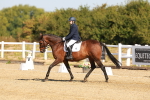 SBM_016635
