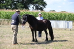 WJ6_4764